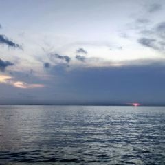 Kelong Seafood Restaurant Nirwana Gardens User Photo