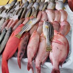 Yi Jia Seafood Sdn. Bhd. ảnh của người dùng