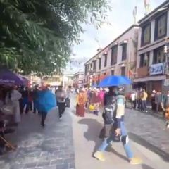 措姆凉粉 User Photo