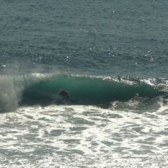 Single Fin User Photo