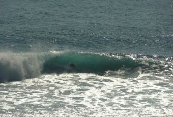 Single Fin User Photo