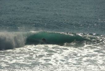 Single Fin Bali user photo