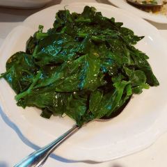 New Haven's Taste of China 여행 사진