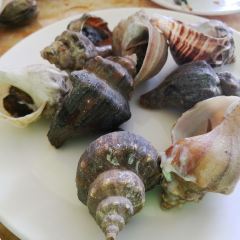 华侨佬海鲜大排档(侨港海滩店) User Photo