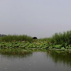 水上人家 User Photo