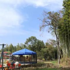 Suiyuejinghaoxiuxianshanzhuang User Photo
