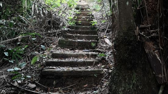 哥打京那巴鲁周边的最大离岛加雅岛是度假胜地，可惜上面的度假村