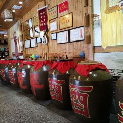TU GU DA PAI DANG User Photo