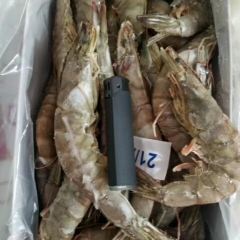 Mingdouxiaohetang (gaizhou) User Photo