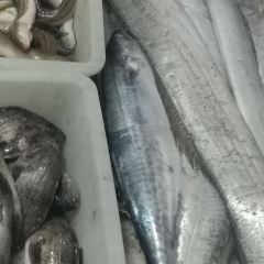 桃花島漁家(張家台店)張用戶圖片