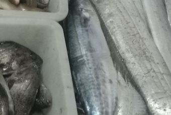 桃花島漁家(張家台店)用戶圖片