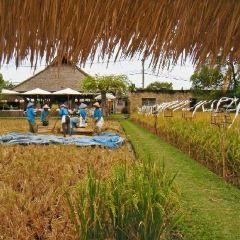 Sardine Restaurant User Photo