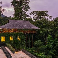 THE PAVILION User Photo