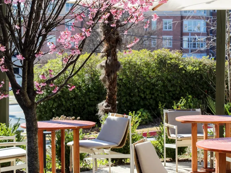 Kimpton SYLVAN ATLANTA - BUCKHEAD by IHG