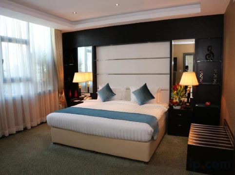 The Olive Hotel Room Type - King Suite