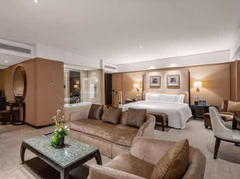 The Lakeview Hotel Room Type - Business Suite, 1 King Bed