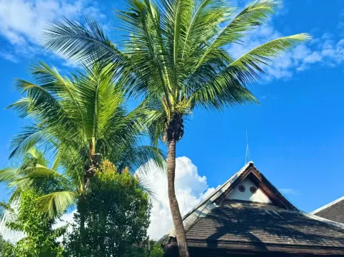 Q+ Xishuangbanna Golden Mango Inn ( jinghong  Gaozhuangxishuangjing Starlight Night Market)