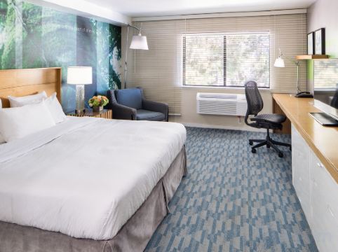 The Domain Hotel Room Type - Deluxe Room King