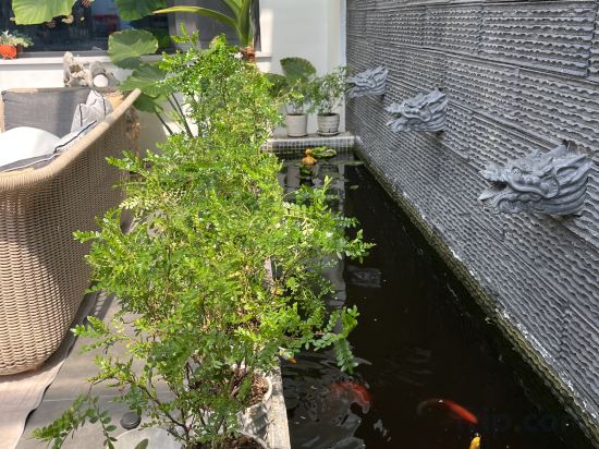 Others 5, Long Island Dongmei Homestay, Yantai