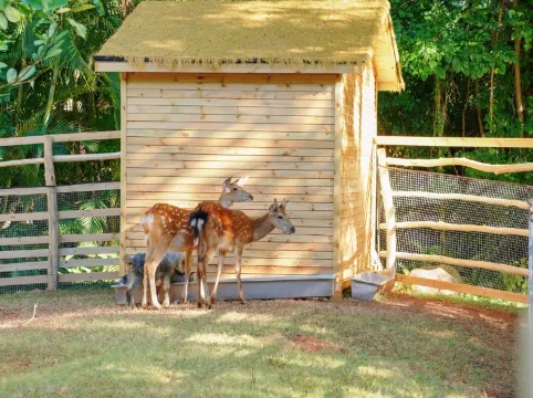 Xiamen Software Park Fliport Hotel