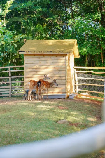 Xiamen Software Park Fliport Hotel