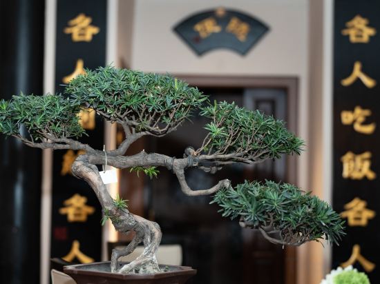 Others 3, Chengdu Yuanheyuan Buddha Zen Hotel, Chengdu
