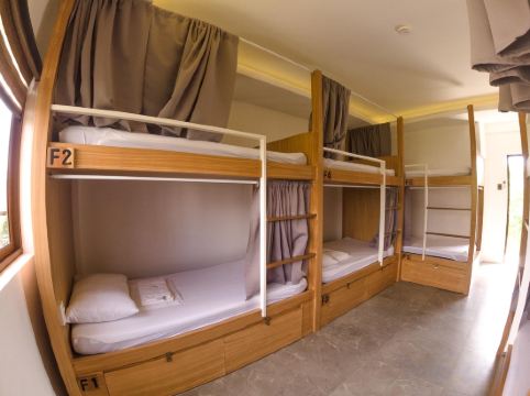 Red Picnic Hostel Room Type - 1 Bed in 8-Bed Mixed Dormitory