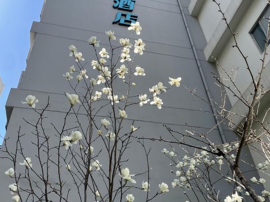 Others 3, Magnotel (Wanping Road S), Shanghai
