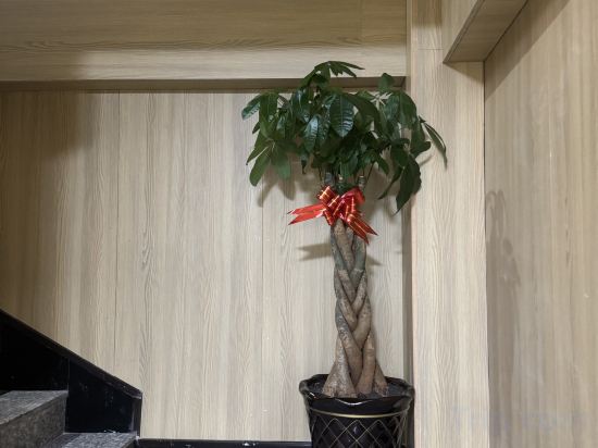 Others 3, Tianxinju Hotel, Shenyang
