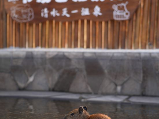Others 4, Longyan Liancheng Qingshui Tianyi Hot Spring Resort, Longyan