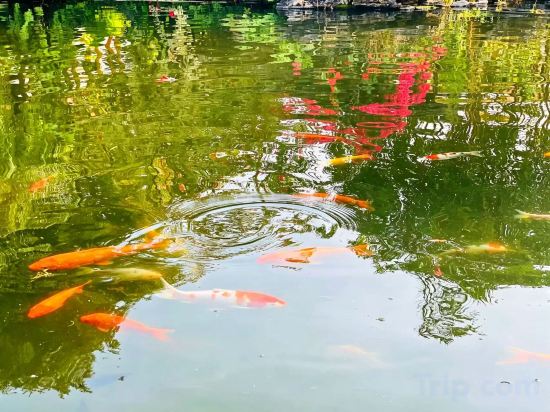 Others 2, Xiangquan Hotel, Zhongshan