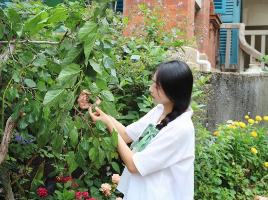 Others 2, Gulangyu Monet Garden, Xiamen