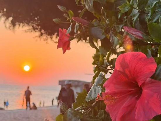 Others 3, Kulangsu · Qilixiangshe · Seafront Sunset View Boutique Stay, Xiamen