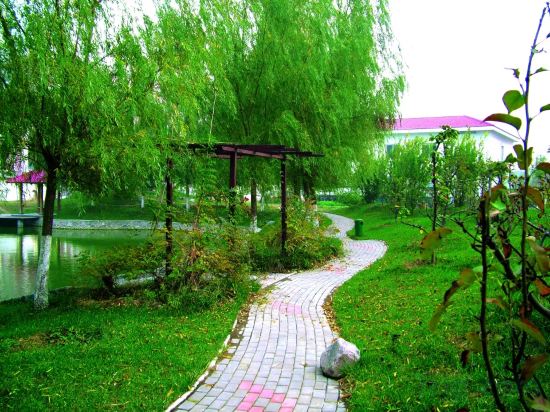 Others 5, Derun Conference Center, Xinxiang