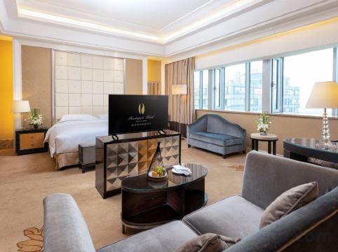 Radegast Hotel CBD Room Type - Deluxe Room