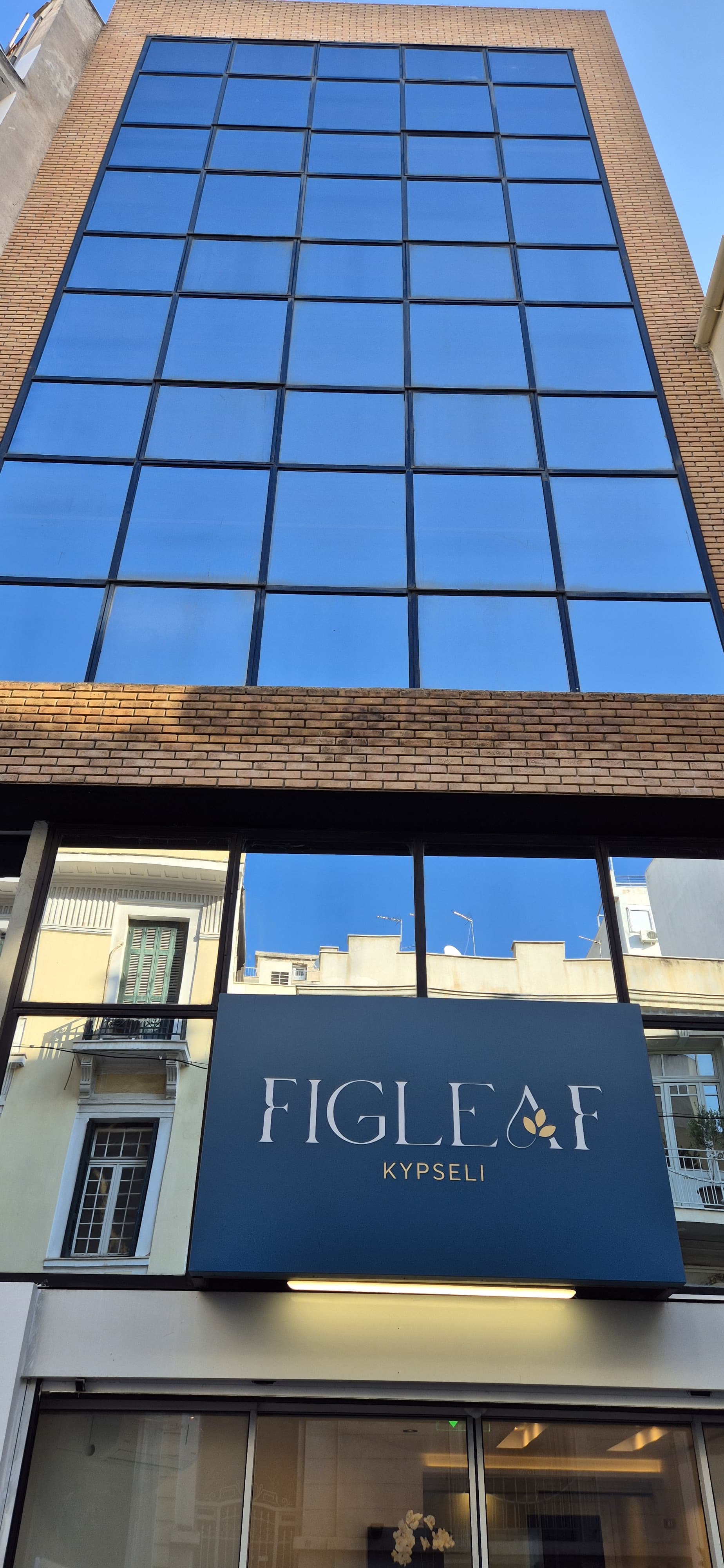 Figleaf Kypseli #2
