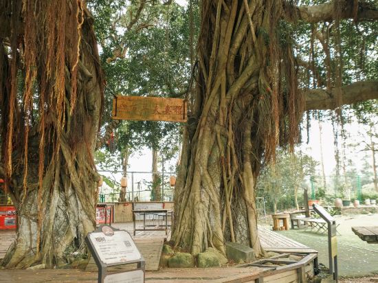 Others 4, Feiyi Culture Village (Dapeng Suocheng Branch), Shenzhen