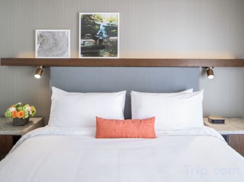 The Domain Hotel Room Type - Premier Room King