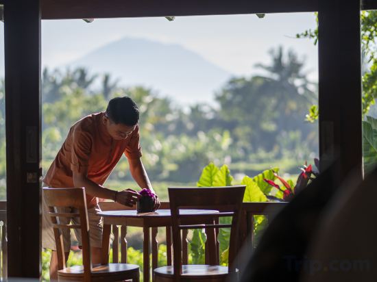 Beehouse Dijiwa Ubud - Tap to explore photos