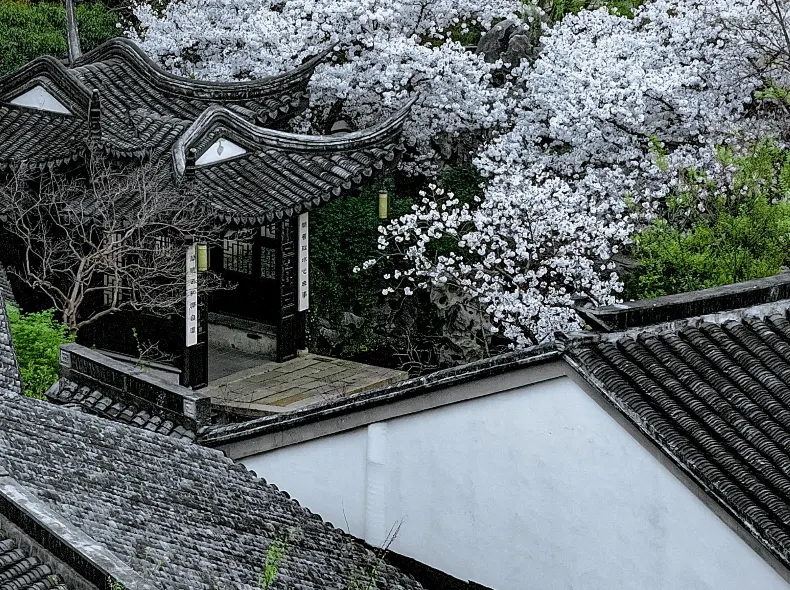 Scholars Hotel Xuntang