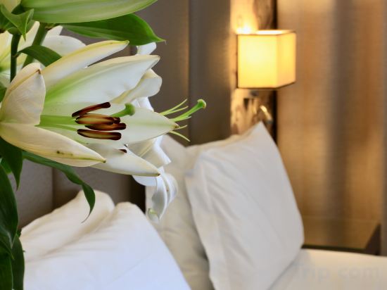 Klima Hotel Milano Fiere Room Type - Double Room