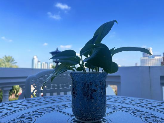 Others 3, Yongshun Villa Hotel(Consulate Seaview Villa Hotel), Xiamen