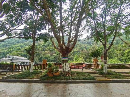 Others 3, Xinfeng Utop Spring Primeval Forest Resorts, Shaoguan