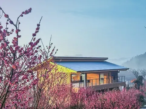 YAOJIA·WANGCHENGXIAOZHU