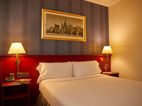 El Avenida Palace Hotel Room Type - Economy