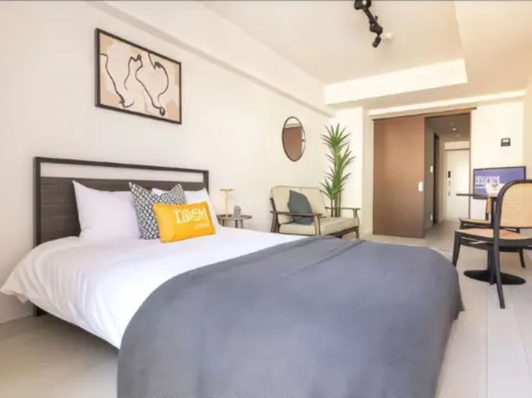 Dash Living Ueno Park