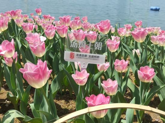 Others 4, Yu De Shui Hotel, Shaoxing