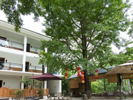 Others 5, Tianshui Zhiqing Hotel (Maiji Mountain Scenic Area), Tianshui
