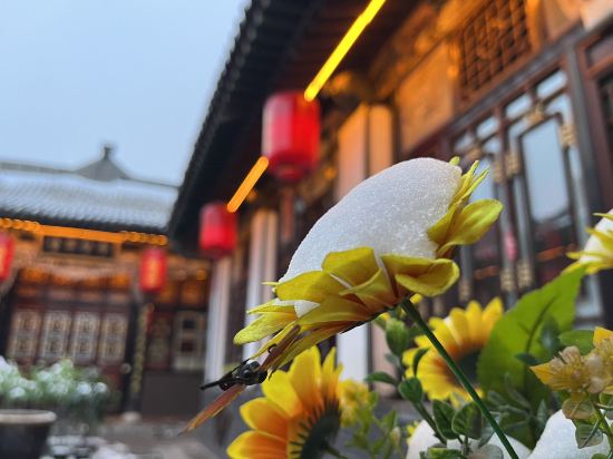 Others 4, Yu Feng Heng Villa, Jinzhong
