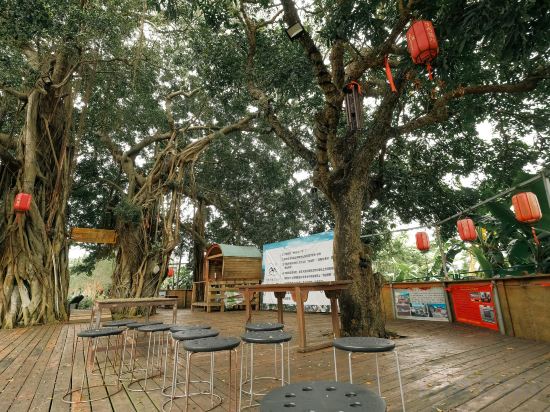 Others 5, Feiyi Culture Village (Dapeng Suocheng Branch), Shenzhen